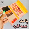 پالت همه کاره انی لیدی طرح گربه و بستنی