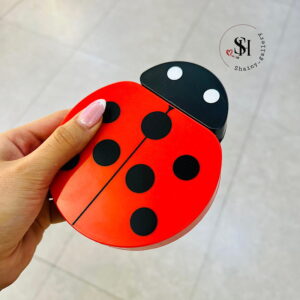 ست براش کفشدوزکی